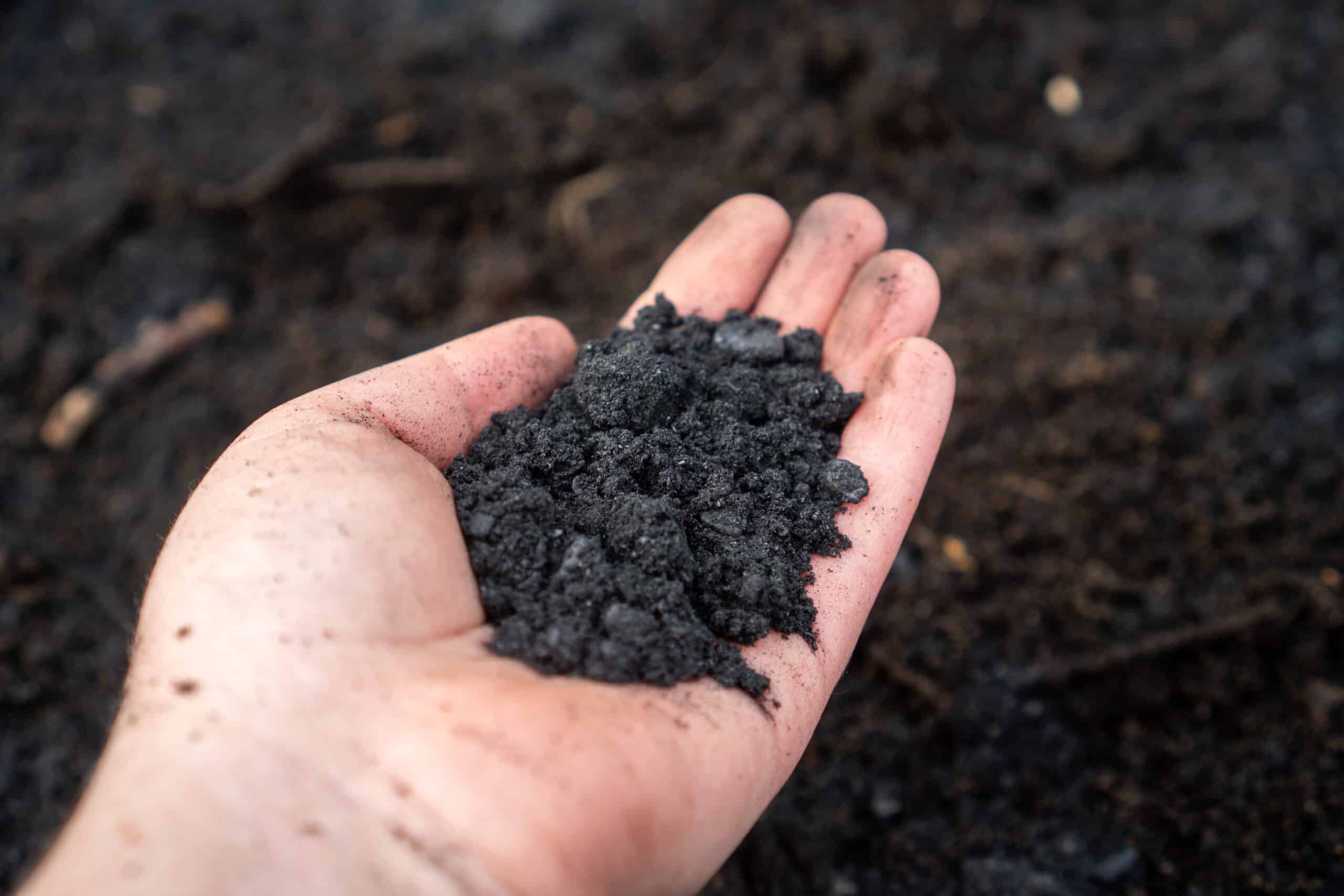 biochar