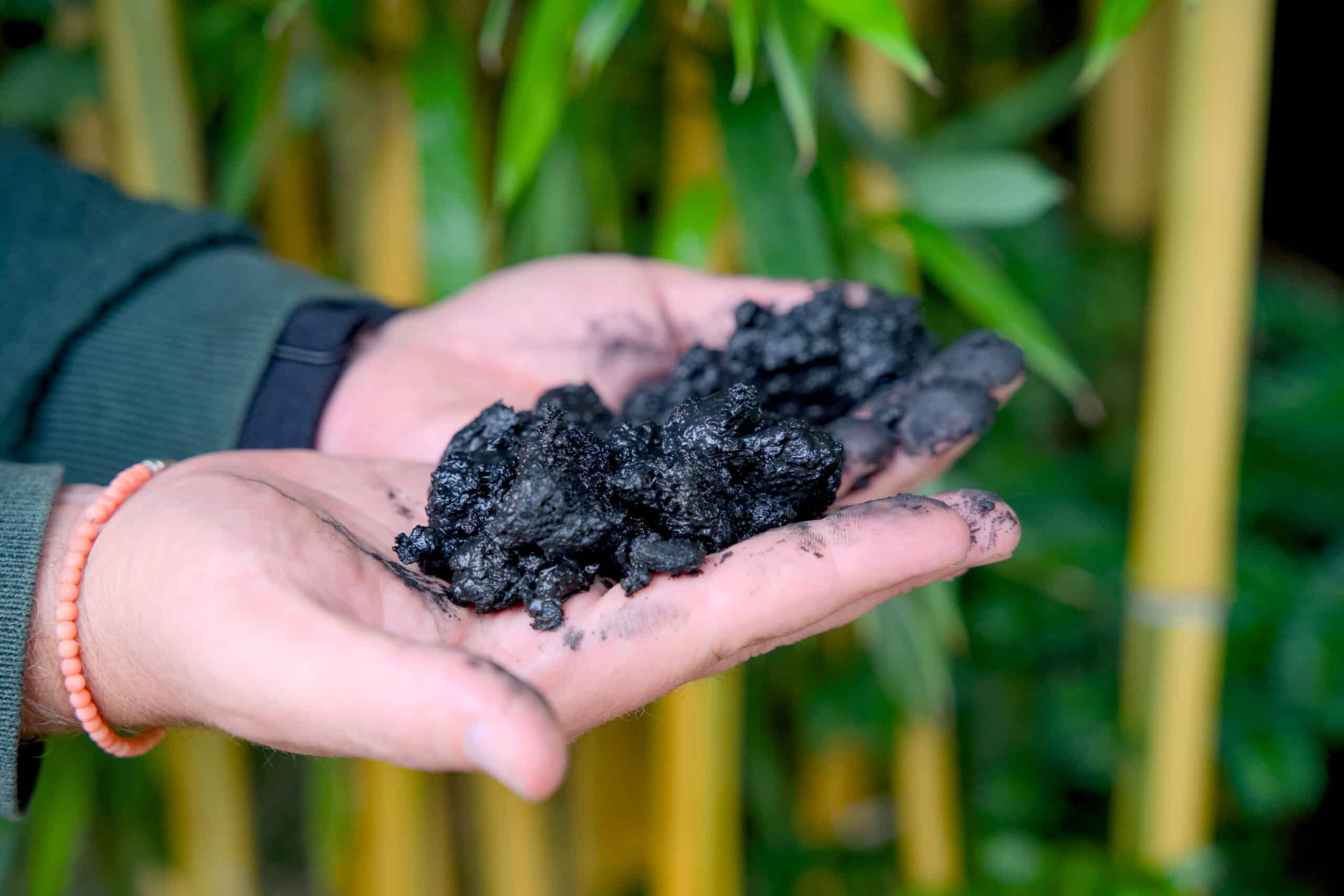 Two carbon-blackened hands holding pieces of biochar for carbon storage and CO2 reduction