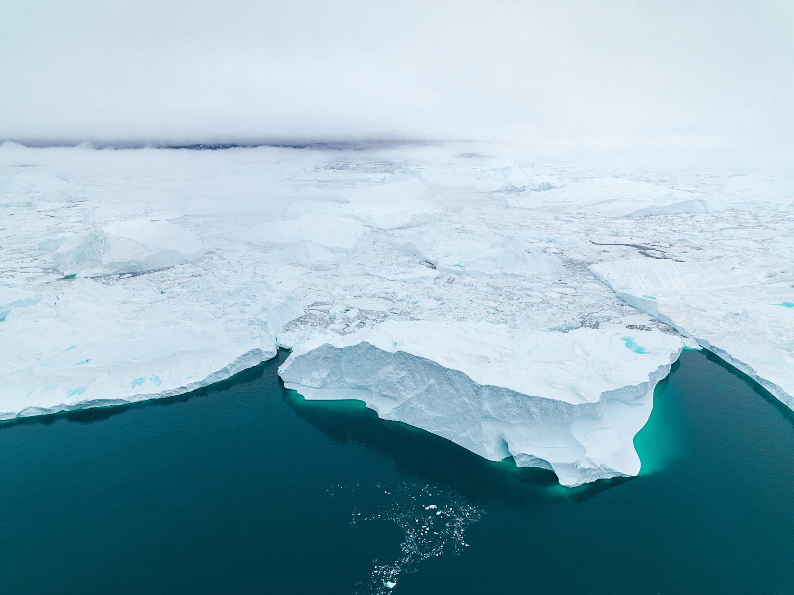 Aerial view of Arctic Icebergs in Greenland