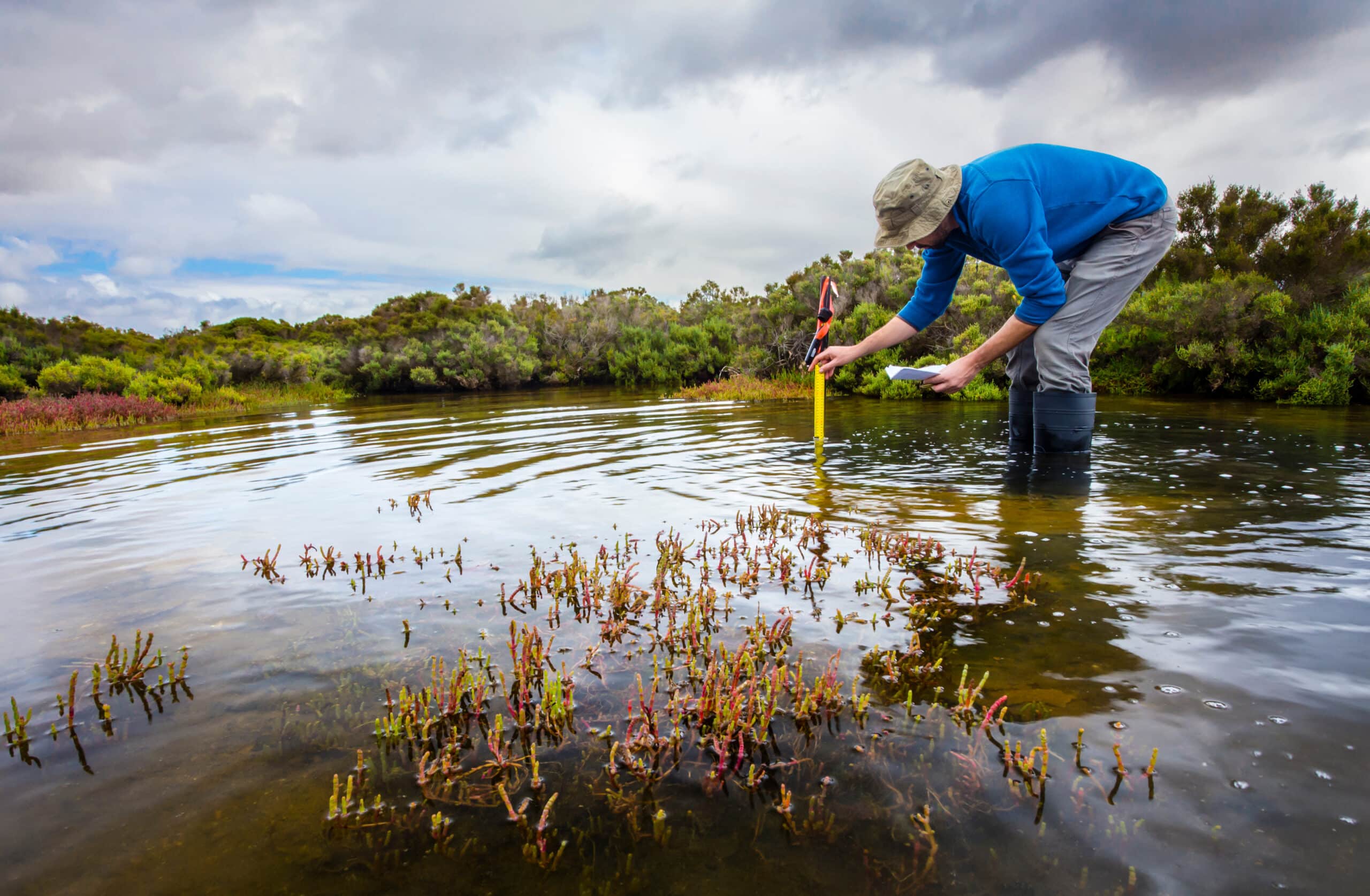 Scientist measuring water depth