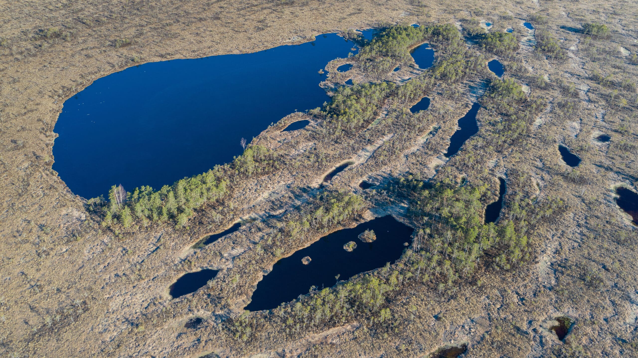 Aerial view over peat bog with lakes