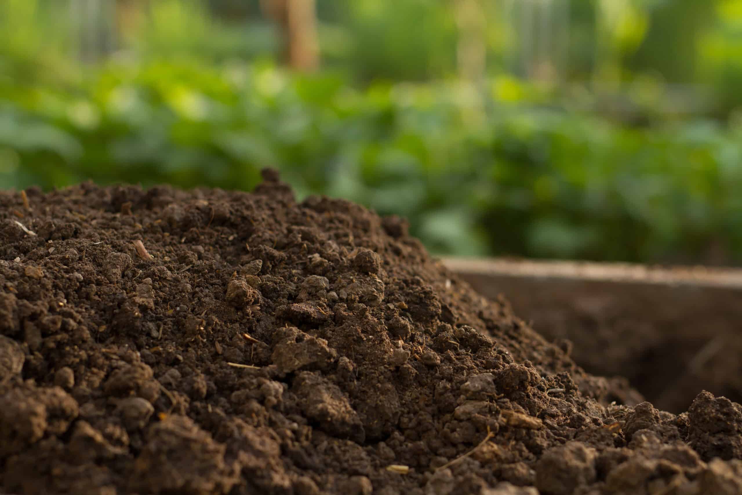 Soil