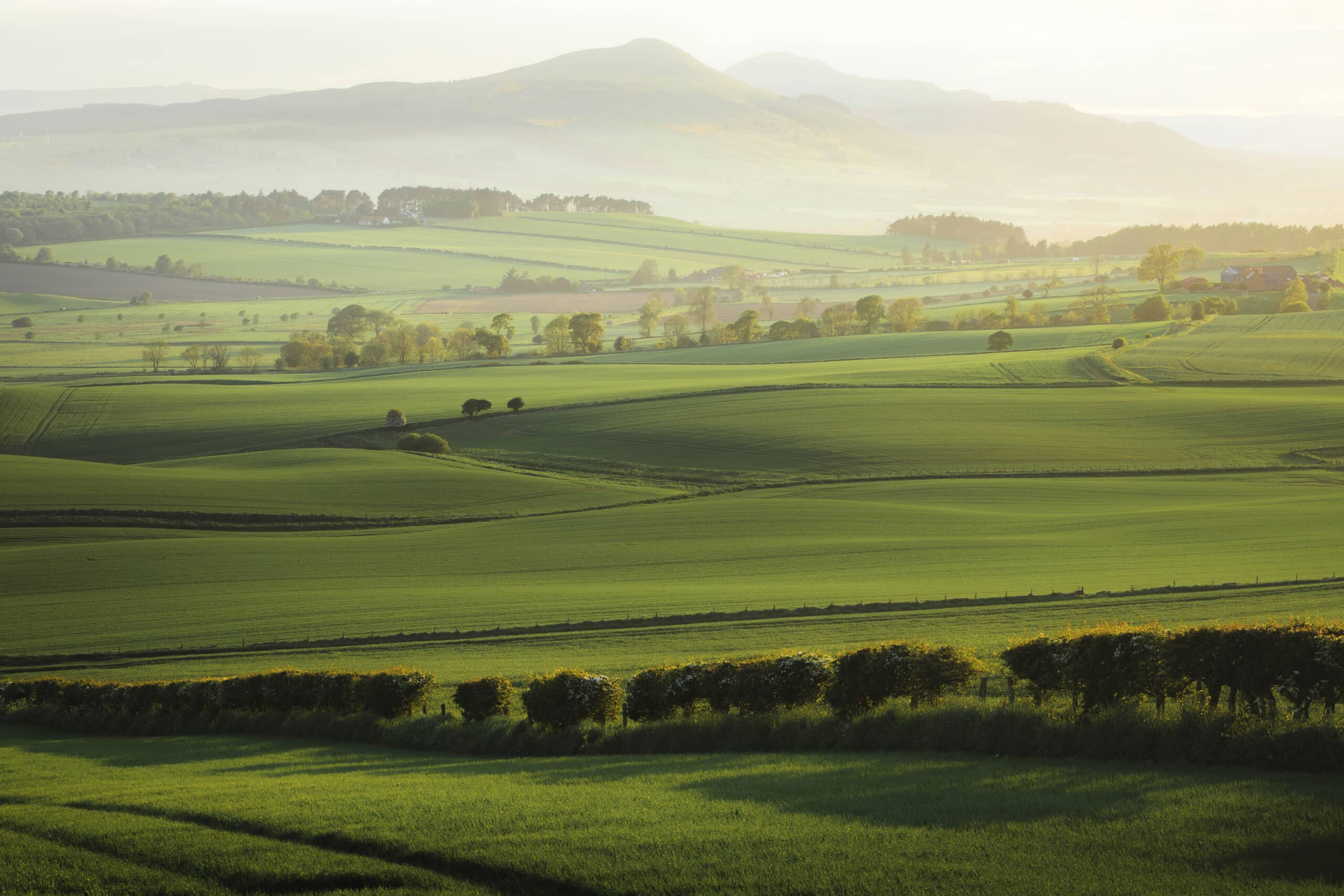 Scenic landscape
